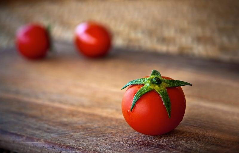 Sustainable Dining
